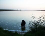 Bade- und Surfsee im Katinger Watt