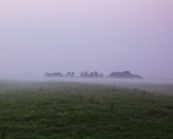 Abendnebel